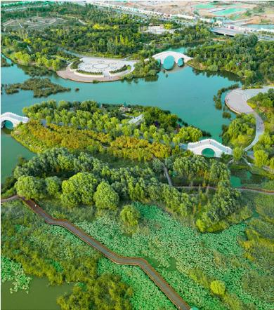 邯鄲這里有個(gè)國家級濕地公園——邯鄲文化網(wǎng)