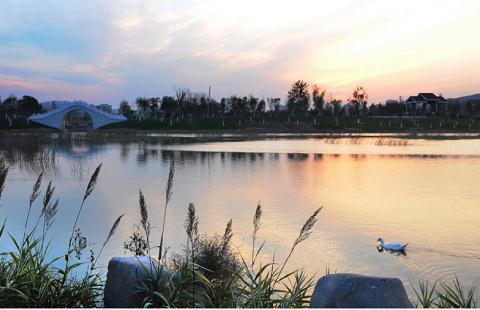邯鄲這里有個(gè)國家級濕地公園——邯鄲文化網(wǎng)