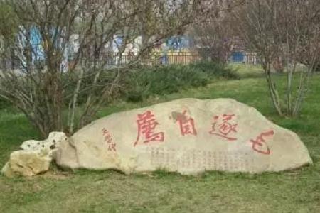 邯鄲成語(yǔ)典故苑——邯鄲文化網(wǎng)