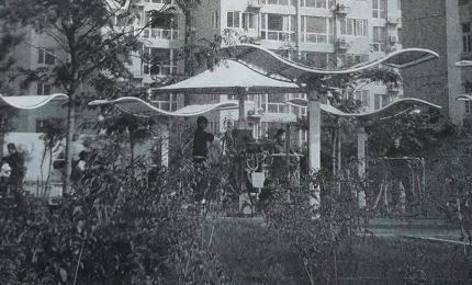  主城區公園雕塑——邯鄲文化網(wǎng)