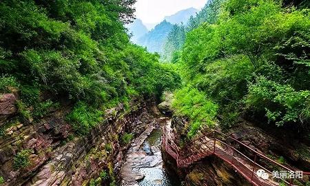 七步溝景區——邯鄲文化網(wǎng)