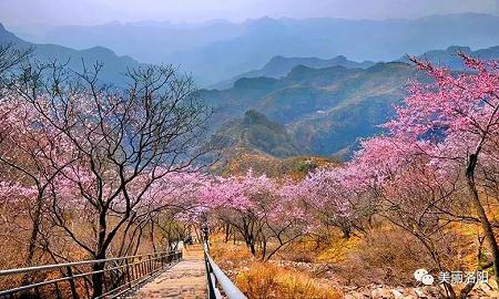 七步溝景區——邯鄲文化網(wǎng)