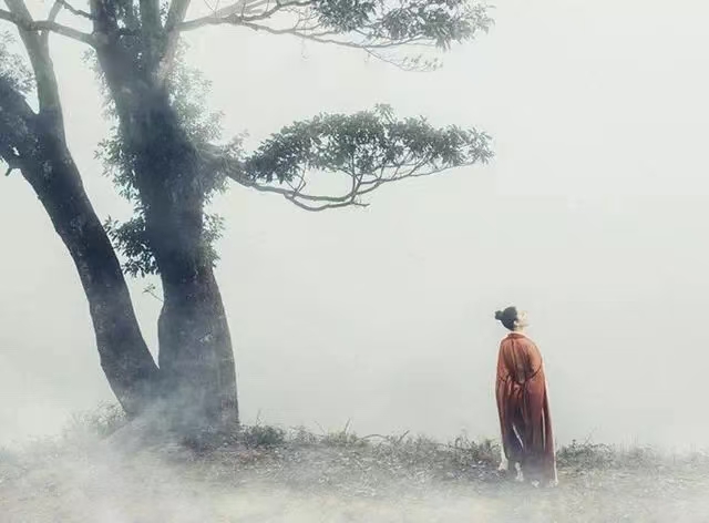 愿你出走半生，歸來(lái)仍是少年｜蘇軾原句更經(jīng)典